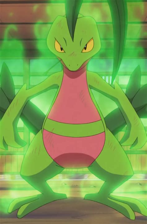 Image Ash Grovyle Overgrowpng Pokémon Wiki Fandom Powered By Wikia