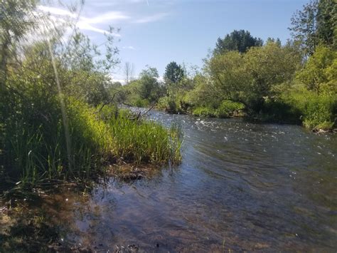 Seattle water sports generates $309.6k in revenue per employee. SUP on Sammamish River Slough, Washington