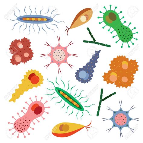 Différence Entre Un Virus Et Une Bactérie Diverses Différences