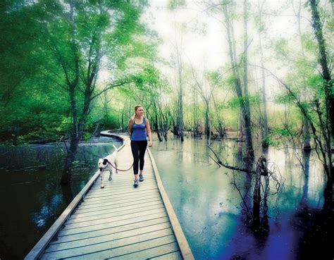 How Nature Can Benefit Your Health And Happiness Chatelaine