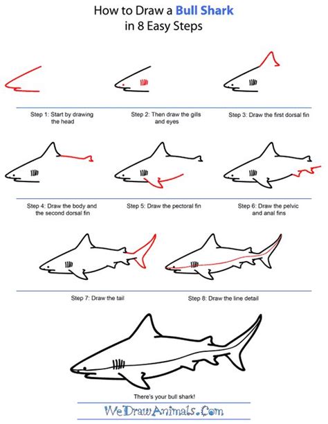 Https://wstravely.com/draw/how To Draw A Bull Shark