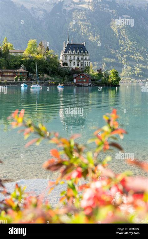View Of Schloss Seeburg Iseltwald In Turquoise Lake Brienz Stock Photo