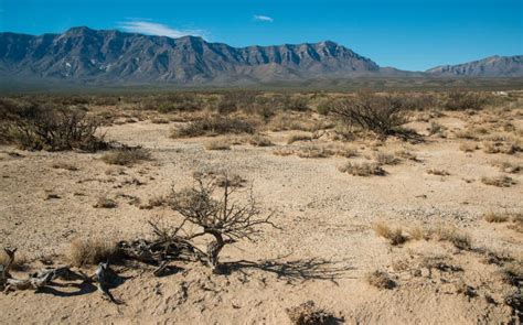 New Mexico Desert Landscape Gypsum Crystals Around A Dried Lucero Lake