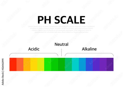 The Ph Scale Universal Indicator Ph Color Chart Diagram Vector Illustration With Ph Scale