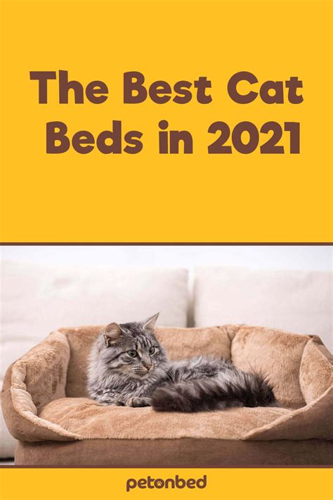 The Best Cat Beds How To Choose The Best Cat Beds In 2021 Buying Guide