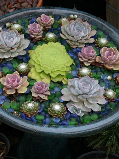 41 Lovely Indoor And Outdoor Succulent Plants Ideas Page 7 Of 43