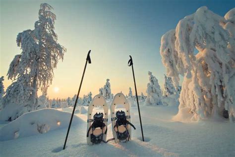 Rovaniemi Hiking And Snowshoeing Adventure In Lapland Getyourguide