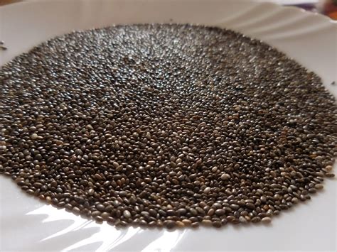 Chia Seeds The Super Healthy Tiny Titans