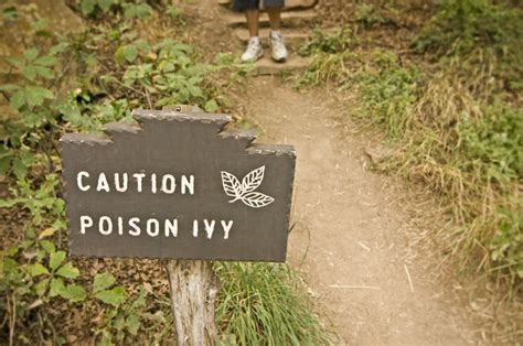 How To Get Poison Ivy Off Your Hiking Gear