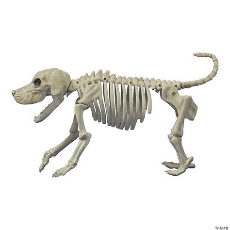 Make something cool every day january 14 animation here. Beagle Bonez Dog Skeleton