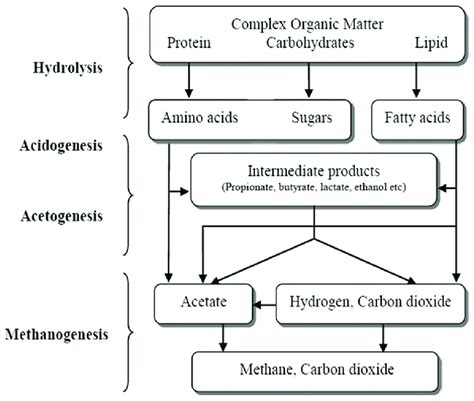 Biochemical Stages Of Anaerobic Digestion Biogas Product Jewitt Et