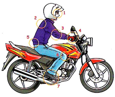 Loud memiliki sebelas anak dengan anak tengahnya bernama lincoln. Majalengka Tiger Rider Club ( MATRIC): 7 Titik penting ...