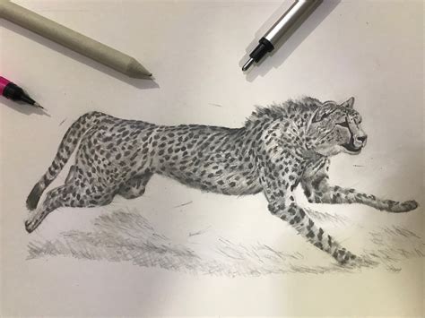 Artstation Cheetah Pencil Sketch