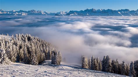 Aerial Photography Of White Fog Beside Mountain With Trees