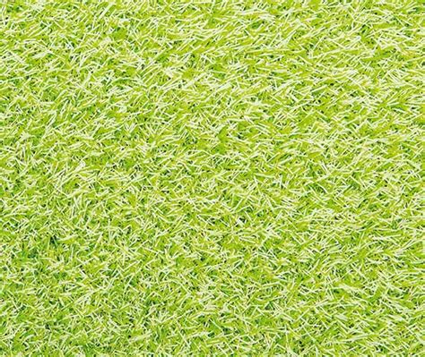 Lime Edel Grass Ideal For The Premium Segment