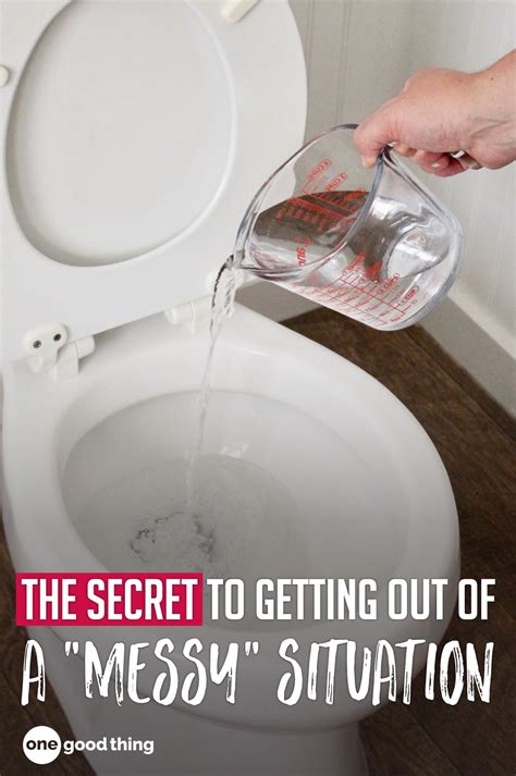 The Best How To Use A Plunger To Unclog Toilet Ideas