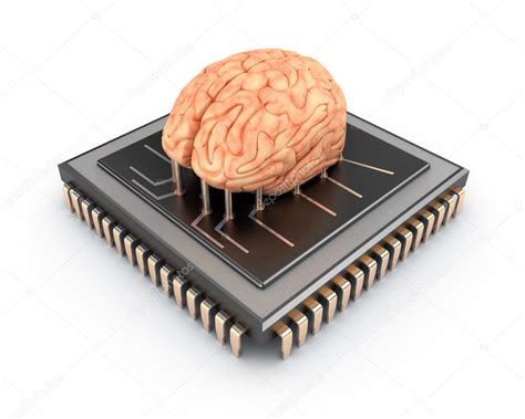 Brains and computers are made from different materials. Human brain and computer chip, 3D concept — Stock Photo ...