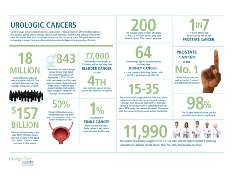 September Is Prostate Cancer Awareness Month Facts About Prostate