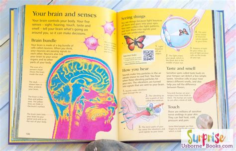 Usborne Childrens Encyclopedia ~ See Inside The Book Surprise