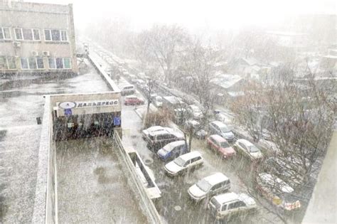 Смешанный снегопад обрушится на Приморье Названа точная дата