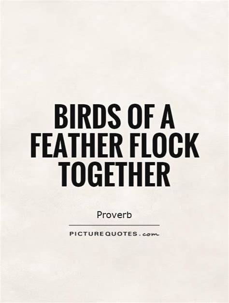 Https://tommynaija.com/quote/birds Flock Together Quote