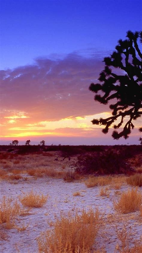 California Desert Wallpapers Top Free California Desert Backgrounds