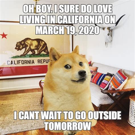 Le Statewide Lockdown Has Arrived Rdogelore Ironic Doge Memes