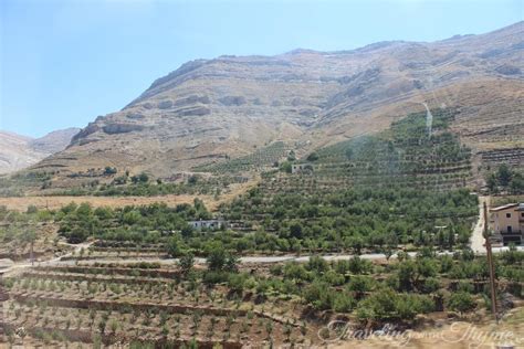 Tannourine Lebanon Scenery Landscape Mountains Nature Traveling With