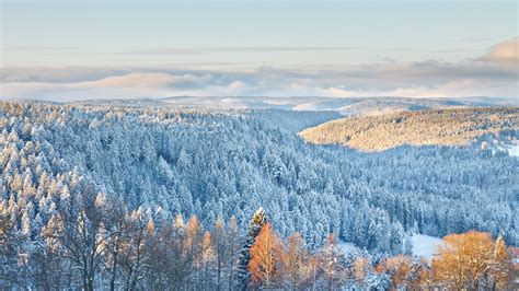 Black Forest Winter Wonderland Tour Leger Holidays