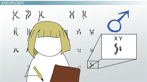 Klinefelter And Xyy Syndrome Types Of Sex Chromosome Aneuploidy Lesson