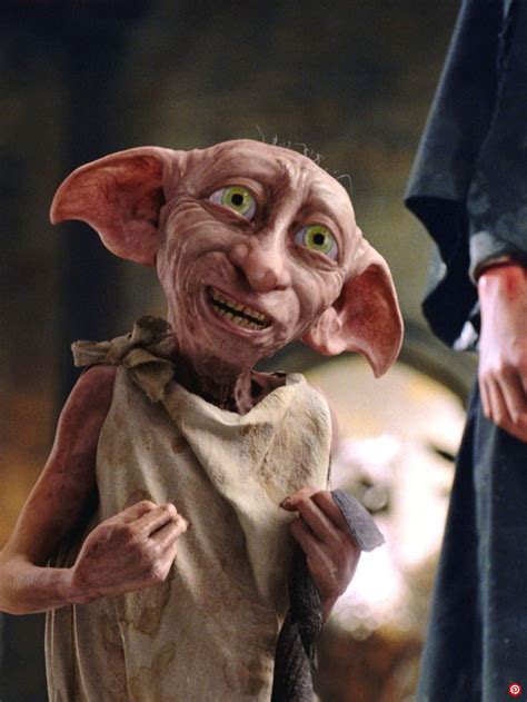 Harry Potters Dobby Spotted On Cctv Camera Outside A Womans House In
