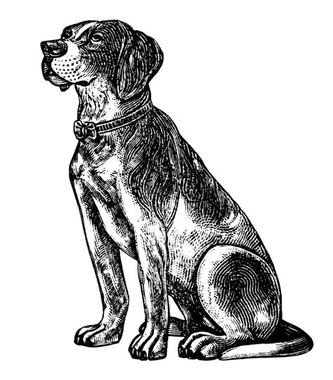 Free Vintage Dog Clipart Black And White Clip Art Digital Pet Image