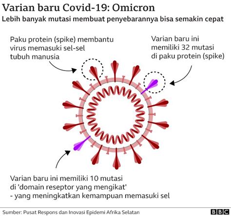 Omicron Dan Berbagai Varian Covid Apakah Vaksin Yang Sekarang Beredar