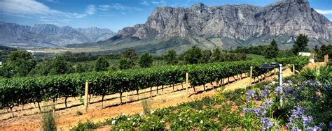 Wines And Gardens Of The Western Cape Kirker Holidays