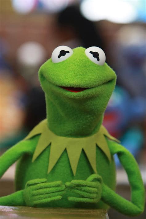 Kermit The Frog How Kermit The Frogs Whispering Campaign Can Help