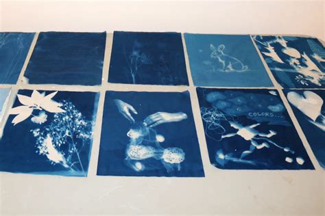 Cyanotype International Arts And Artists