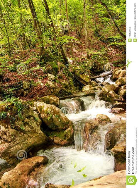 Small River Stream Waterfall In The Forest Natural