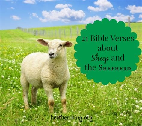 21 Bible Verses About The Sheep And The Shepherd Heather C King