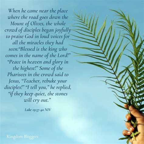 14 Palm Sunday Scriptures To Prepare Your Heart For The Coming King