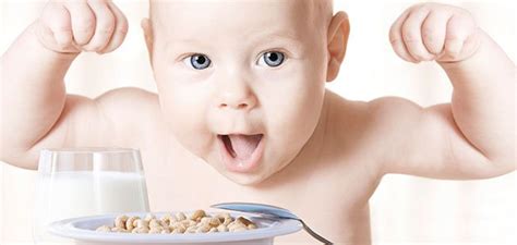 Los Cereales En La Alimentación De Los Niños