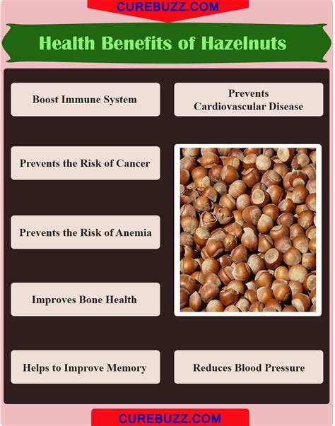 Health Benefits Of Hazelnuts Curebuzz