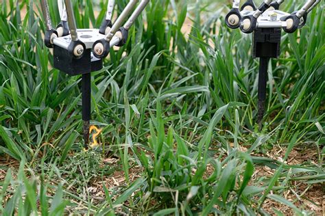 Modular Crop Scouting Robot Tom Lets Src Swarm Out Globally Future