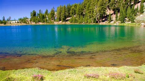 Emerald Lake Estes Park Vacation Rentals House Rentals And More Vrbo