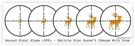 Types Of Rifle Scope Reticles Explained And How To Choose The Best One