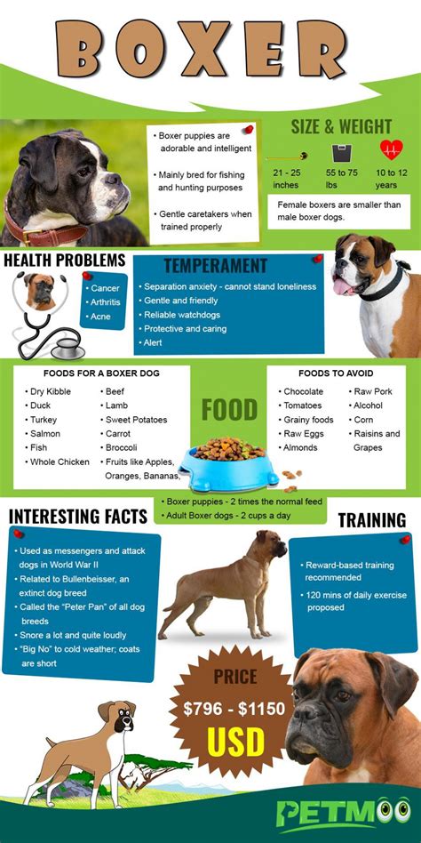 Boxer Puppy Feeding Chart By Weight Age