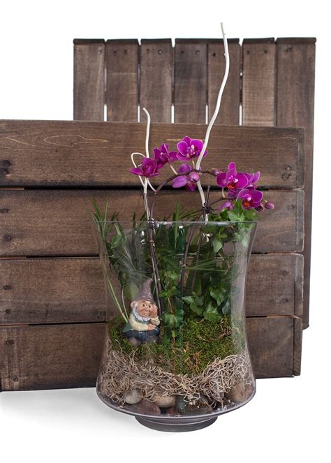 Help Your Plant Thrive With This Diy Orchid Terrarium