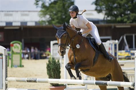 A Quick Ride Through The History Of Horseback Riding Sports Aspire