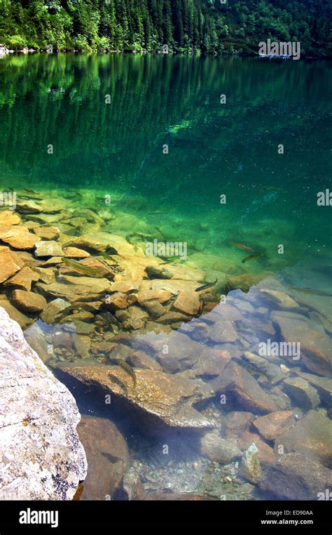 Beautiful Clear Water In A Mountain Lake Stock Photo Alamy