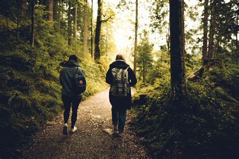 Dos Personas Caminando En El Bosque · Foto De Stock Gratuita
