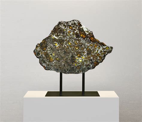 Meteorite Slice For Sale Admire Pallasite 975 Grams Fossil Realm